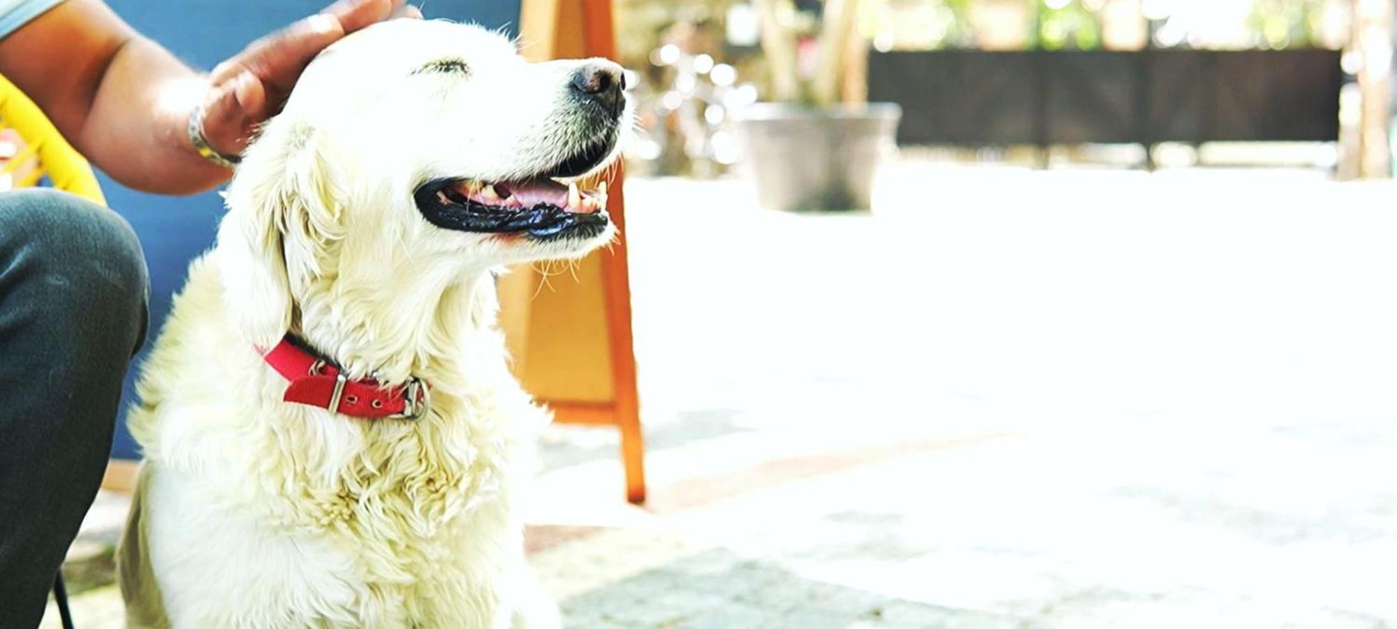 Manastirhan Otel Kazdaglari Akçay Eksteriør bilde